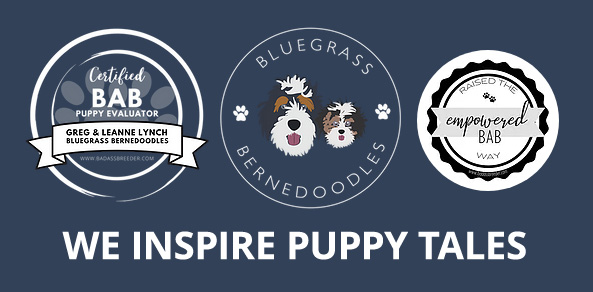 Bluegrass Inspire Puppy Tales