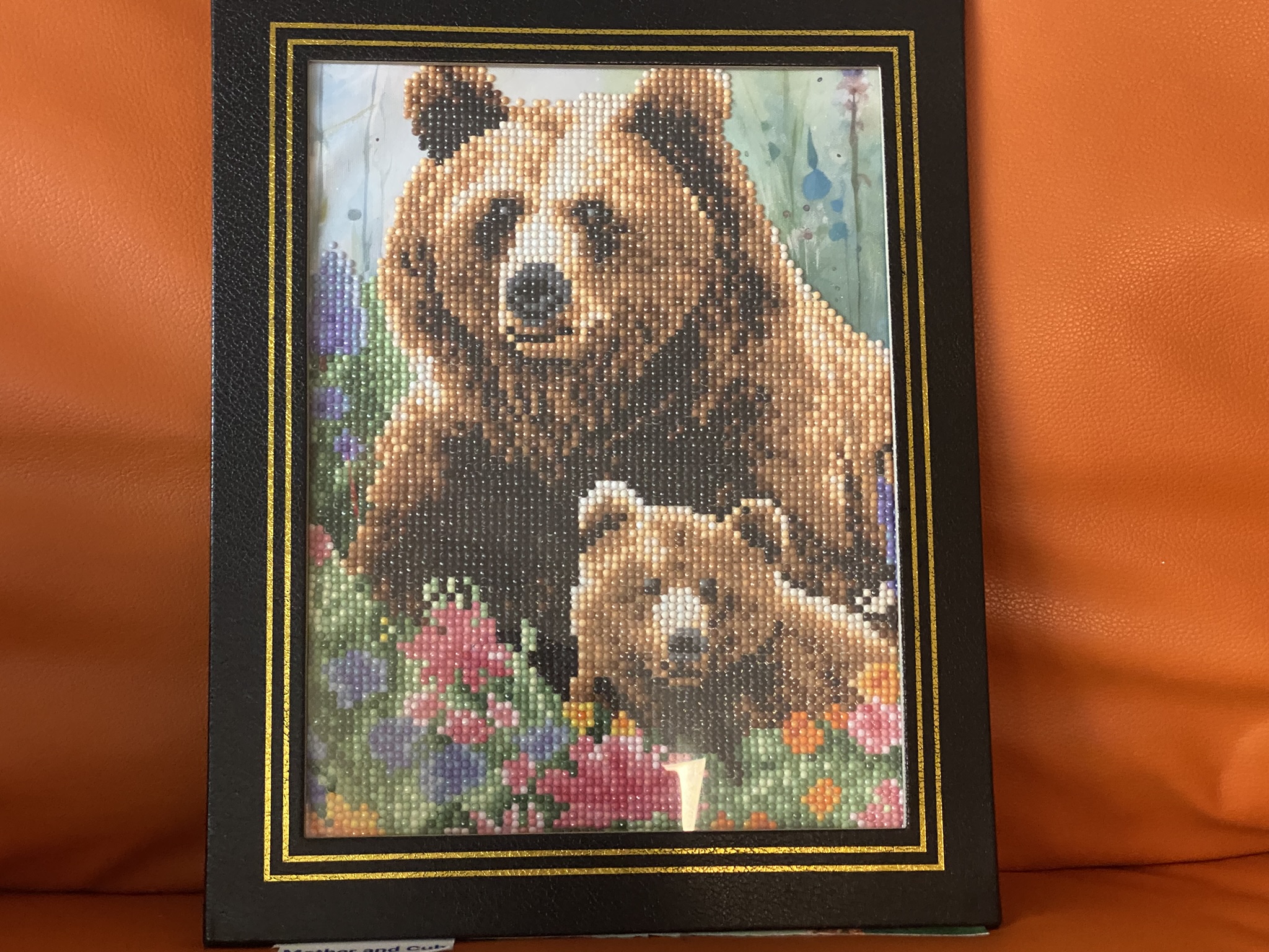 Mother and cub