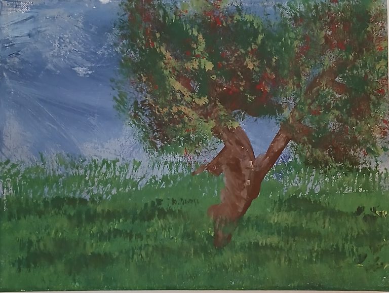 My Backyard Jack Sharpe 768x578