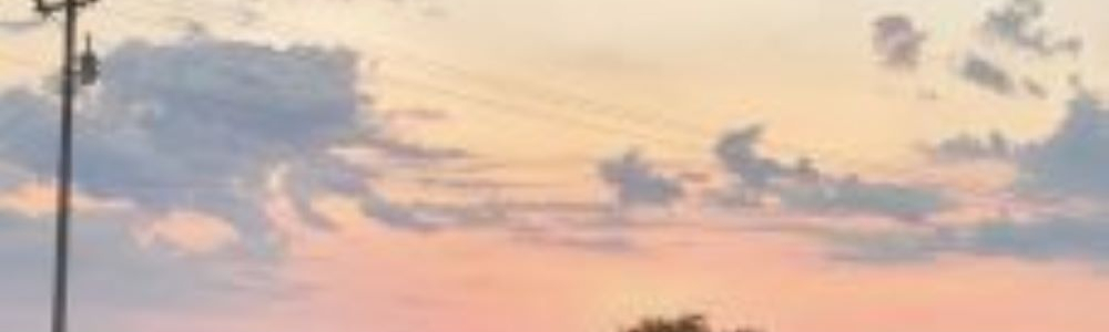 User banner image