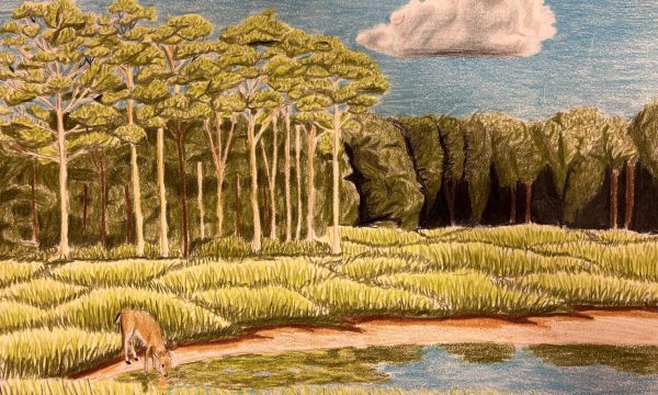 2024-2025 9-12 Grade Category Winner: Juan with "Natural Landscape"