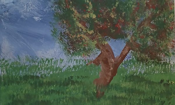 Bloom By ANI's Own Jack Sharpe